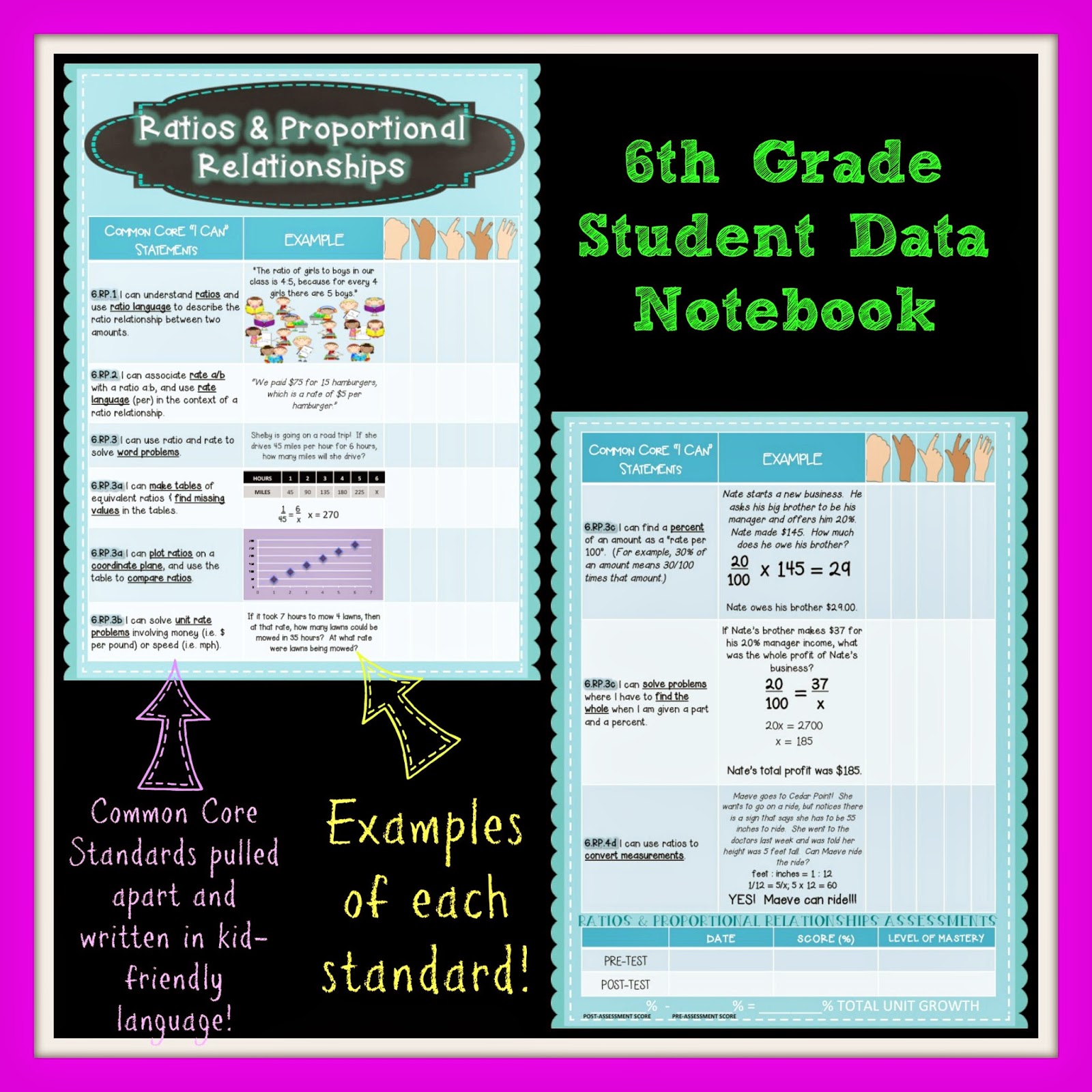 Teaching With Heart and Soul 6th GRADE STUDENT DATA NOTEBOOKS!!!