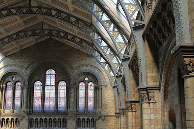Photographs of the Central Hall of the British Natural History Museum: Monkeys, Beams, and Arches