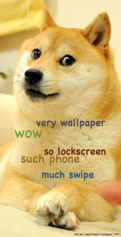 Shibe Doge Wallpaper Phone | Amazing Wallpapers