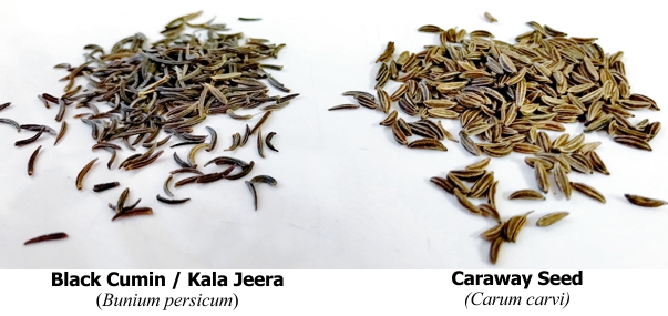 Black Cumin, Caraway, differences