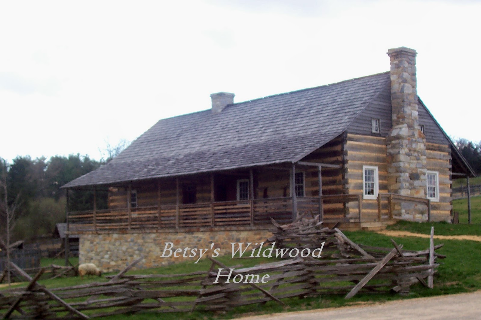 Betsy's Wildwood Home Frontier Culture 3