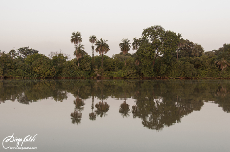 Tour por el Río Gambia - Gambia, el país de los niños (3)