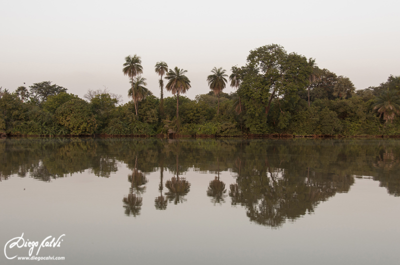Tour por el Río Gambia - Gambia, el país de los niños (3)