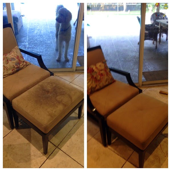 Carpet Cleaning Doral (786)9420525 FREE Stain Treatments