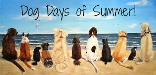 Download Sugarless Delite Specials Are Only A Click Away Dog Days Of Summer Desktop Wallpaper Get Wallpaper Sugarless Delite Specials Are Only A Click Away Dog Days Of Summer For Android Free
