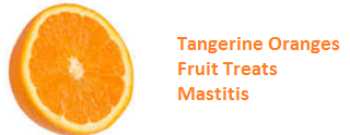 Health Benefits of Tangerine Oranges - Treats Mastitis