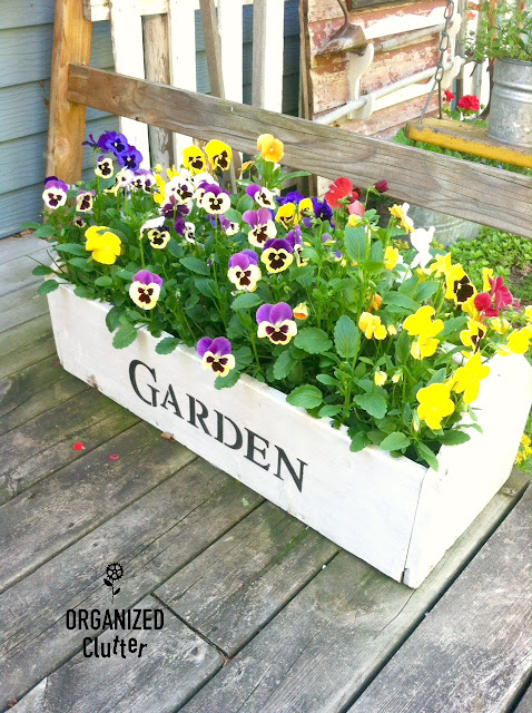 Pansies Planted in a Toolbox organizedclutter.net