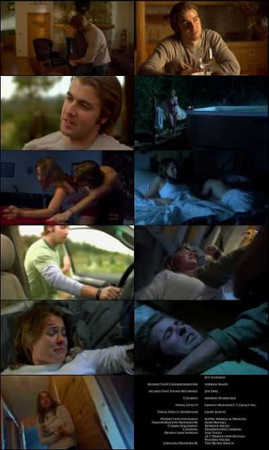 The Lodge (2008) Dual Audio Hindi 300mb Download BluRay