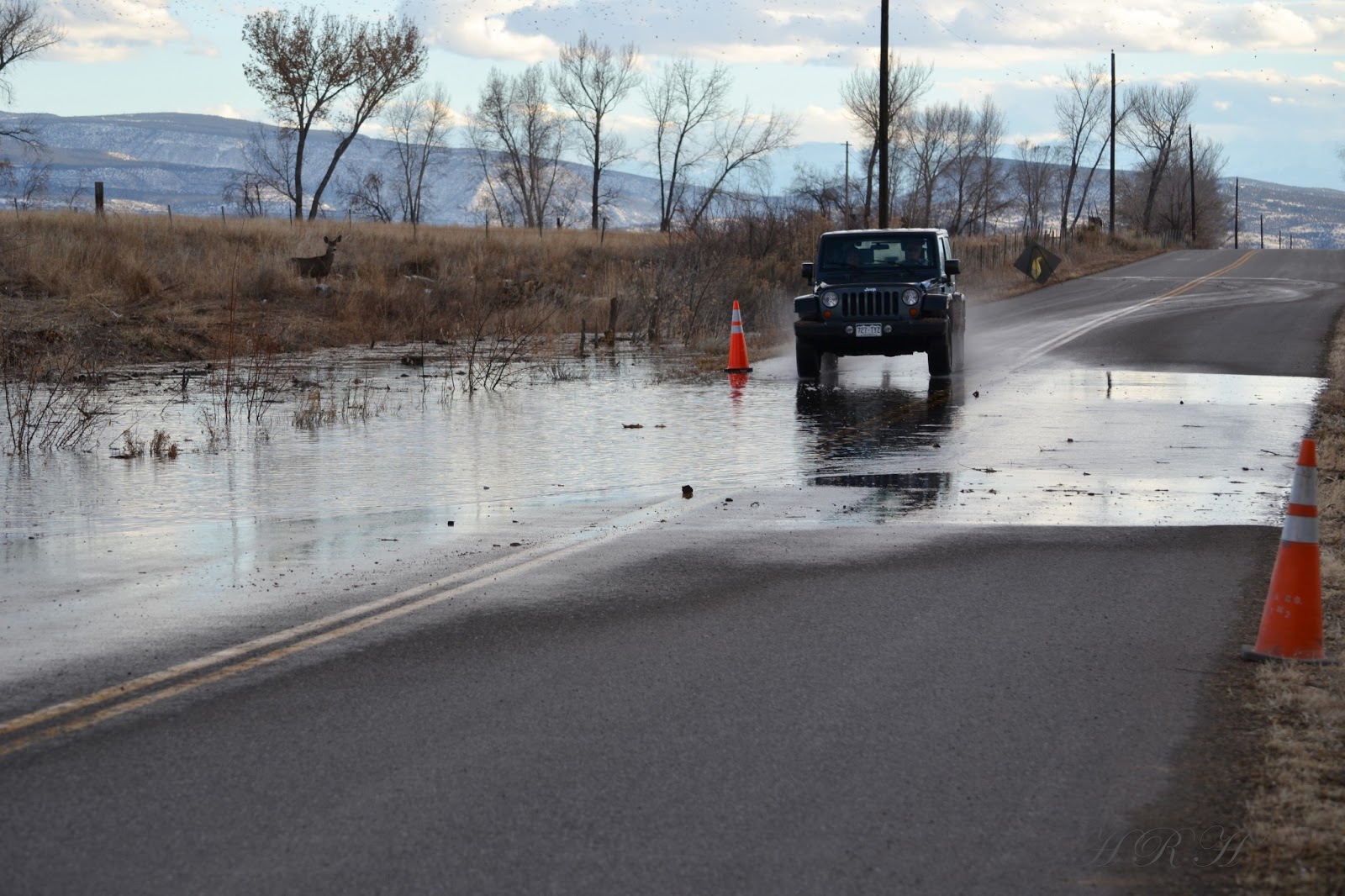 Sunday Drivers COUNTRY CAR WASH