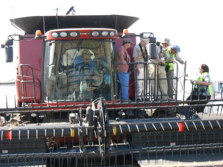 Louisiana Agritourism Yellow Rails and Rice Festival in JenningsA