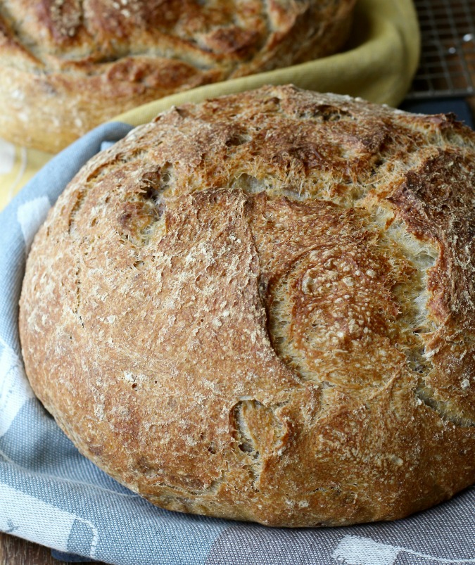 This Walnut Levain Bread is such a pleasure to make, and even more fun to eat. The crust is chewy, and the crumb is soft and airy, and loaded with toasted walnuts.