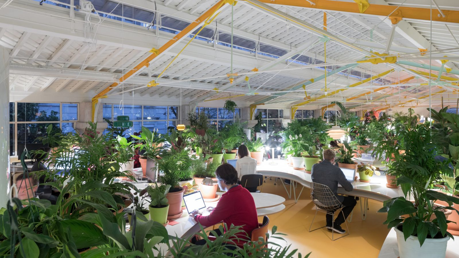 Siësta Leidinggevende verband Waarom elk kantoor groen moet kleuren! | HR Nieuws