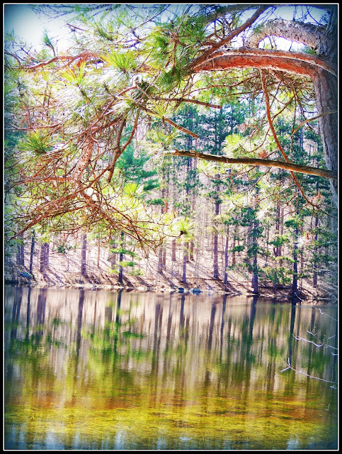 Lago del Monadnock State Park (NH)