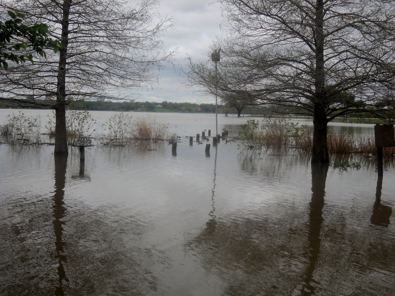 White Rock Lake, Dallas, Texas Heavy Rains Lead to Flooding