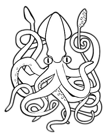 Squid Coloring Pages To Printable : Marine Animals