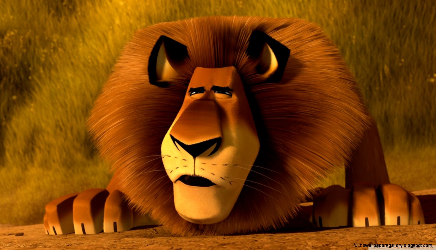 Lion Images Hd Madagascar Desktop