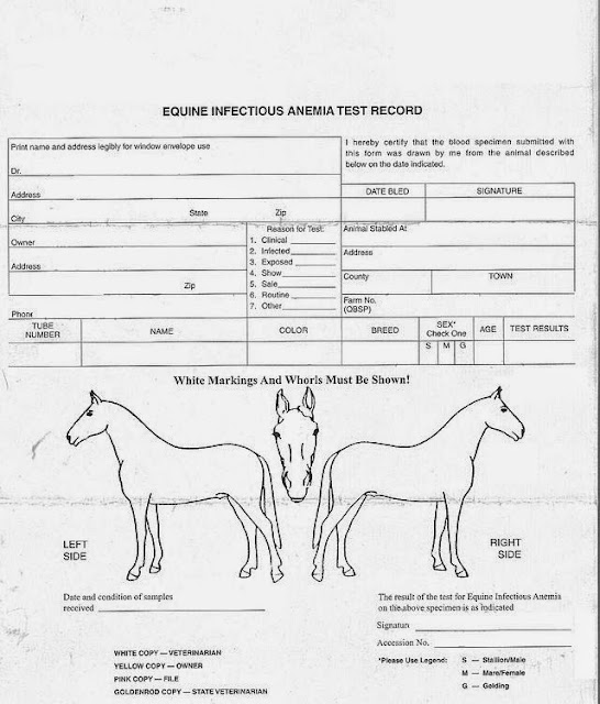 Homestead RecordKeeping Made Easy Oak Hill Homestead