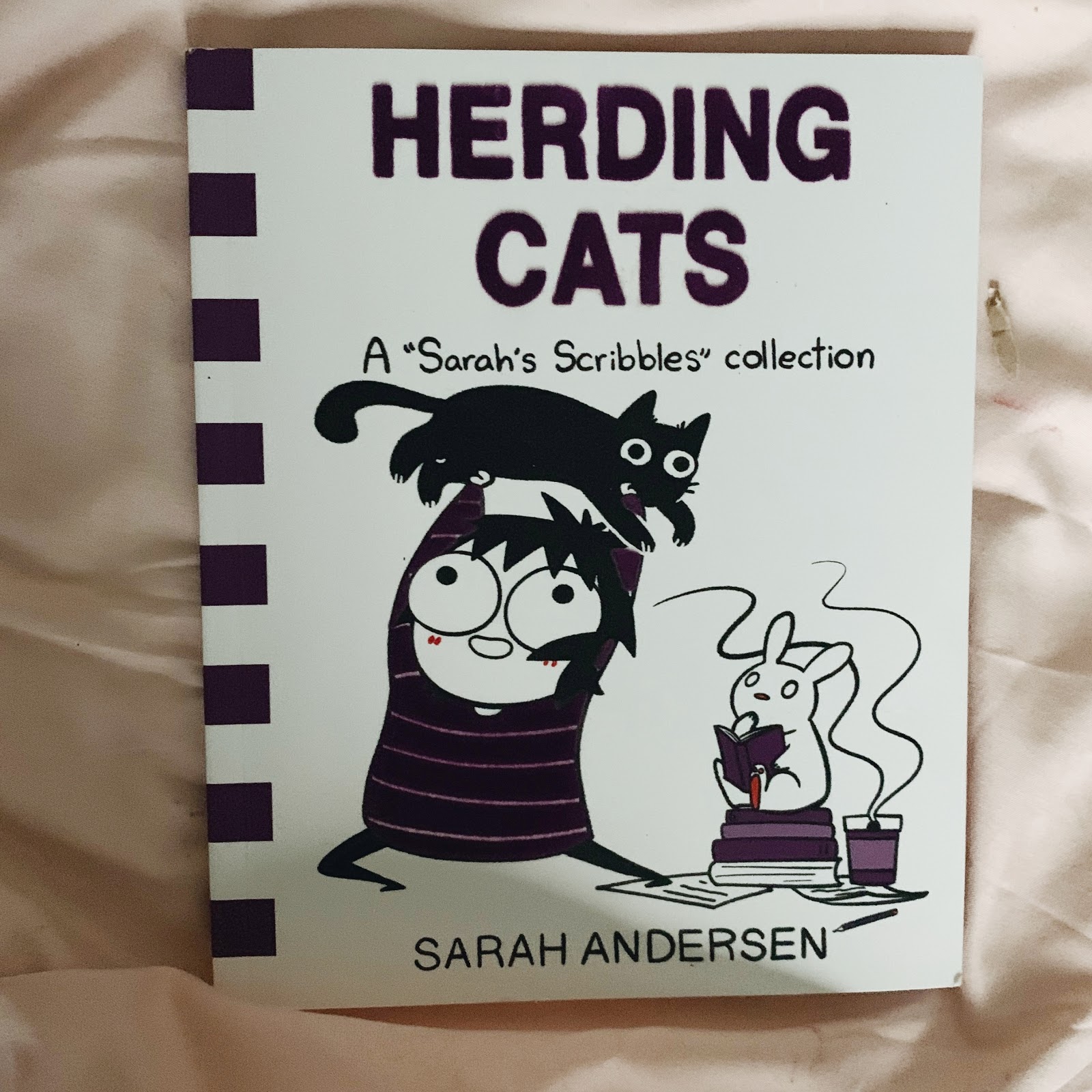 book review herding cats