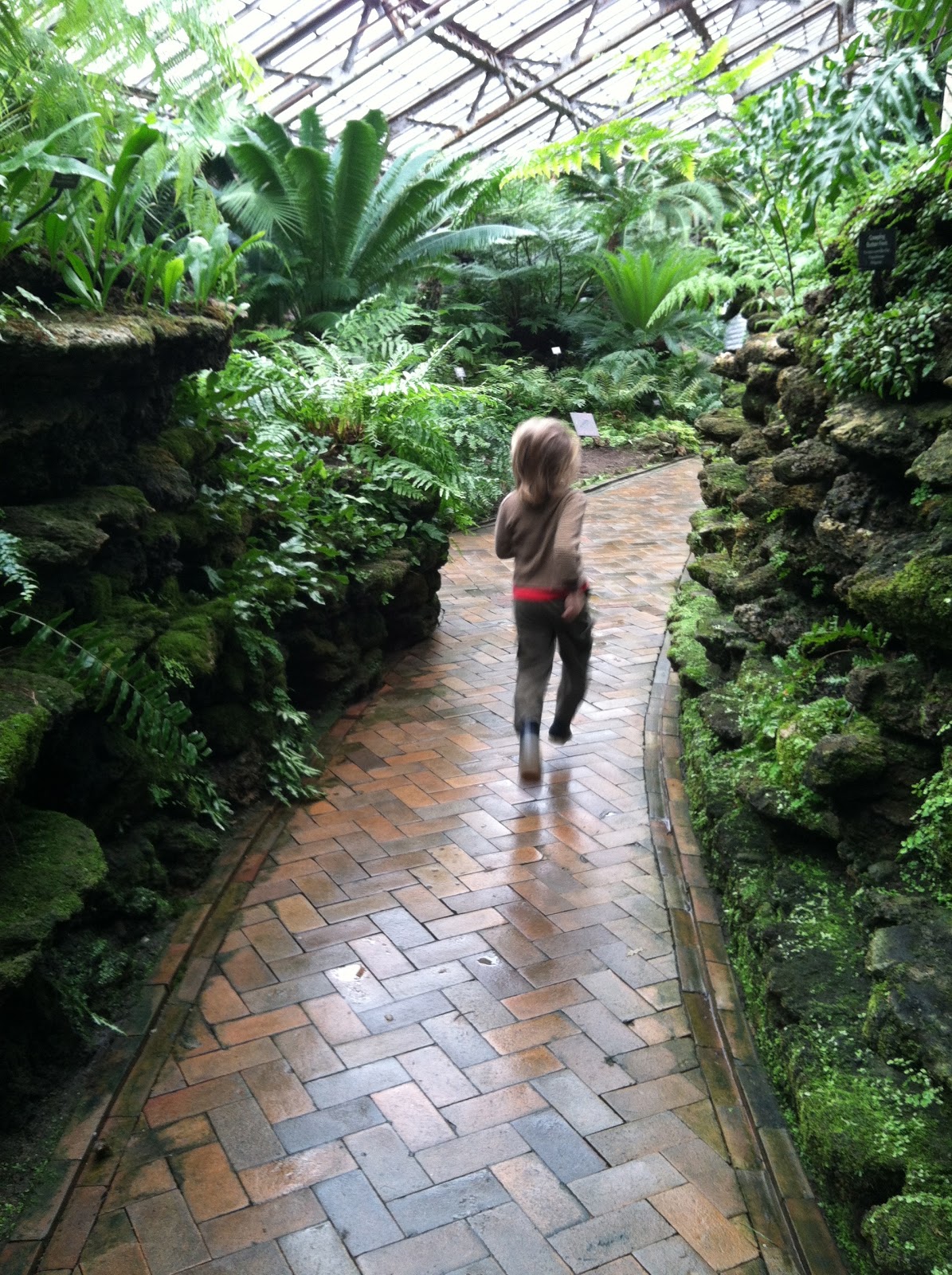 Messy Lab 6 year old in the house