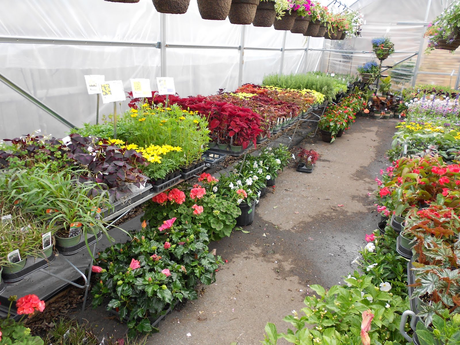 Arts and Flowers MN May 2011