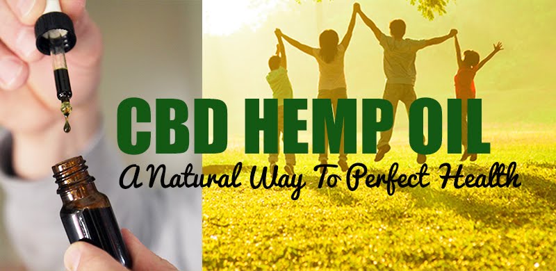 Advertise Your Business Here! *Visit Hemp & CBD Store Today!
