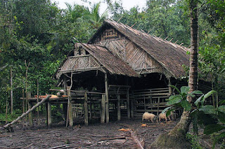 rumah adat panjang uma sumatera barat