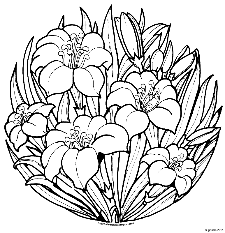 Color These Lilies for Easter Color The Bible