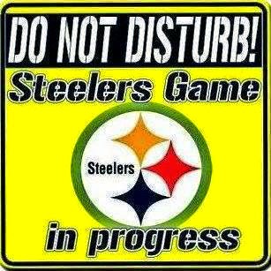 Do Not Disturb Steelers Game In Progress