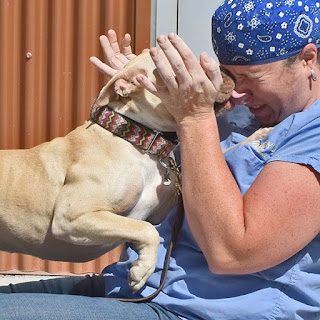 vet with dog being kissed