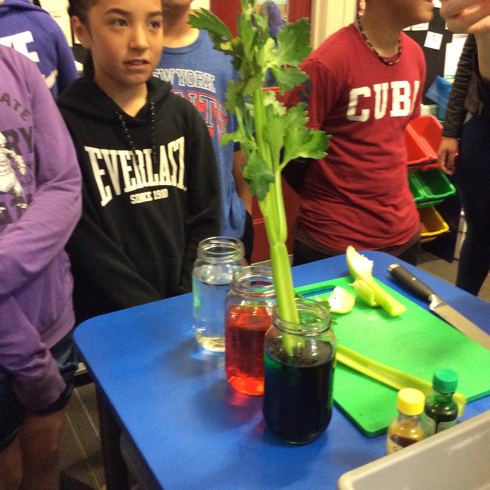 Tamariki Akoranga 8: Science Experiment - Celery & dye