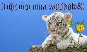 FRASES, MENSAGENS DE SAUDADE. PARTILHANDO AMOR. IMAGEM-FRASES-E-MENSAGENS-DE-SAUDADES