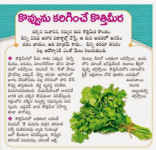 TELUGU WORLD Health Benefits Of Coriander leavesKothimeera