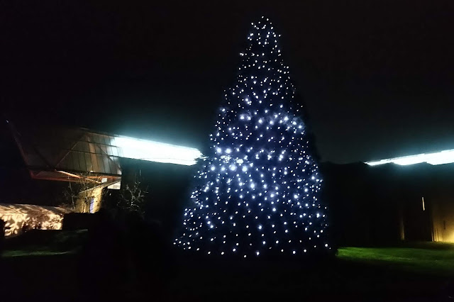 Christmas at Beaulieu - Christmas Tree
