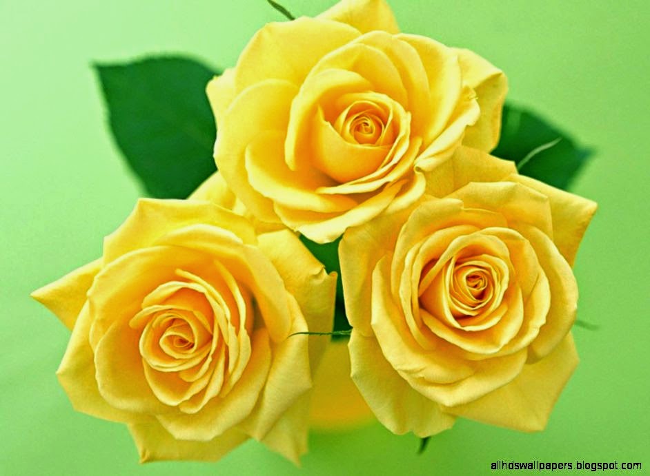 Flowers Yellow Wallpaper Free Download