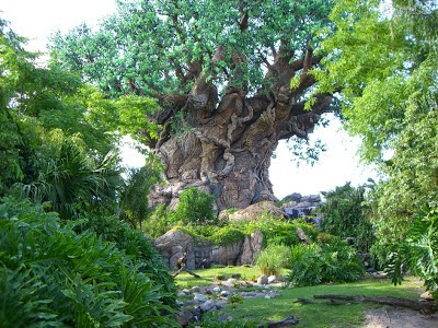 CONEXO GERAL CARVALHOS DE JUSTIÇA