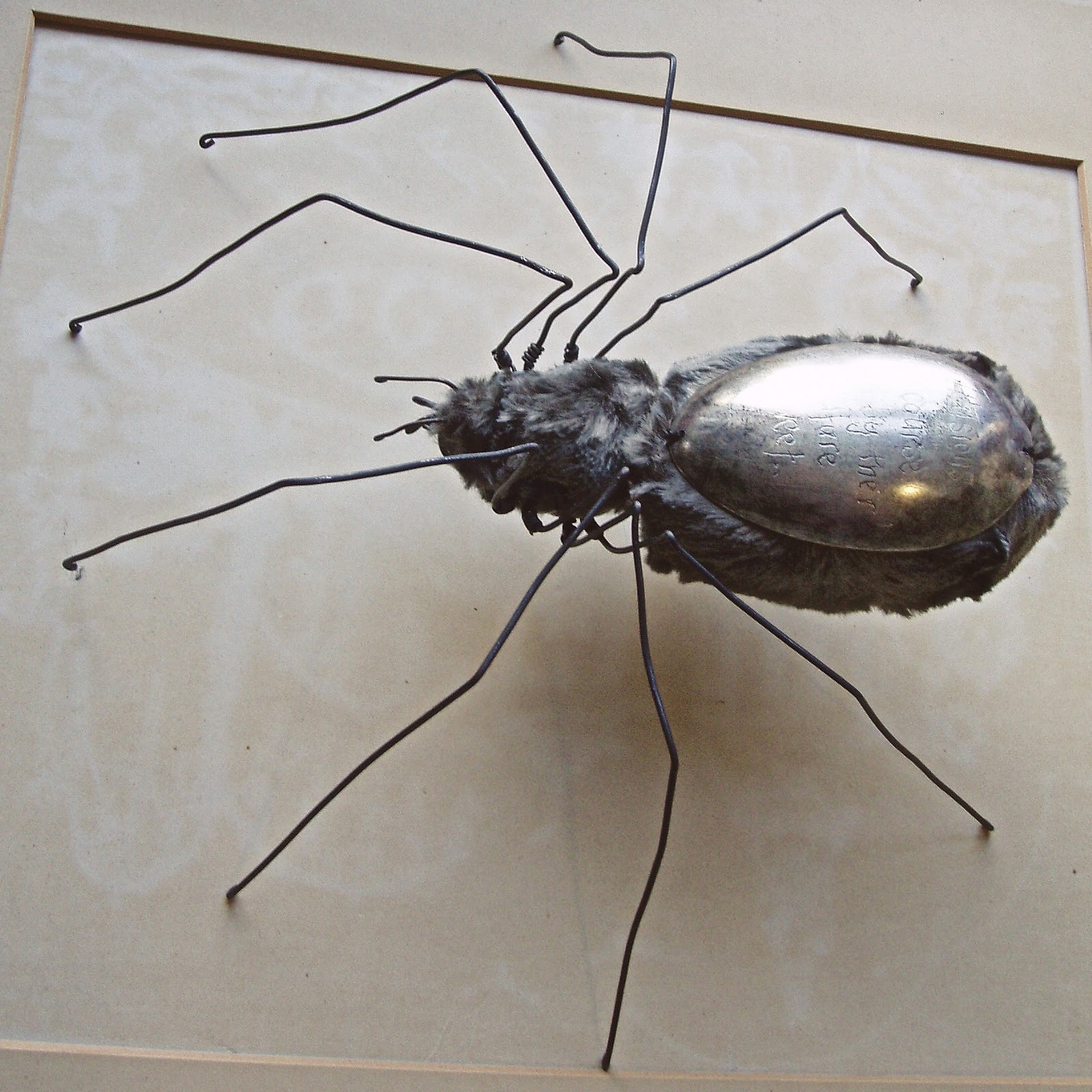 Grey Spider...............