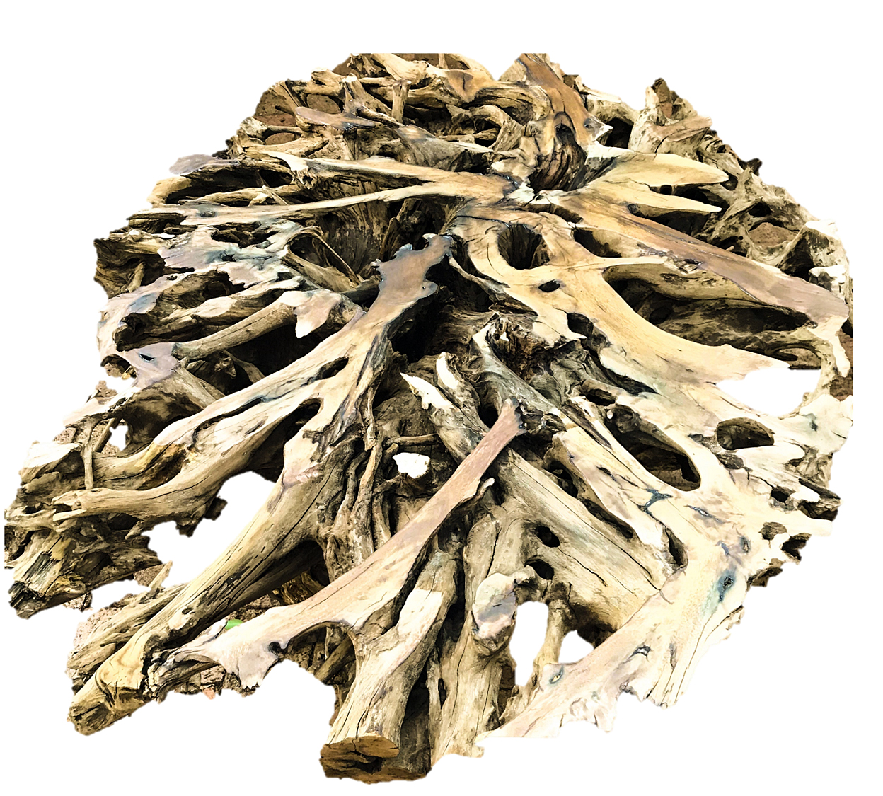 TREE ROOT TABLE BASES