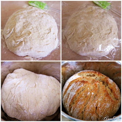 pataleipä, kattilaleipä, maailman paras leipä, helppo leipä, no knead bread, no knead bread leipä