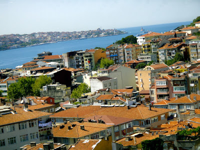 Houses along Bosphorus Strait