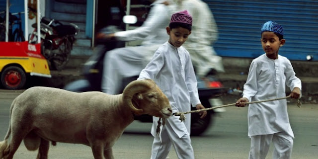 Bayi Kembar Laki-laki, Lantas Perlu Berapa Kambing untuk Aqiqahnya?