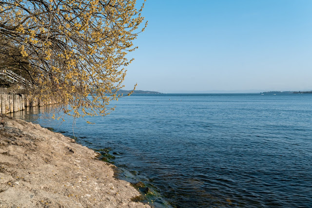 Riedwiesen und Steiluferlandschaften am Überlinger See Etappe 4: Von Sipplingen durch die Steiluferlandschaft nach Überlingen | Wandern Bodensee 14