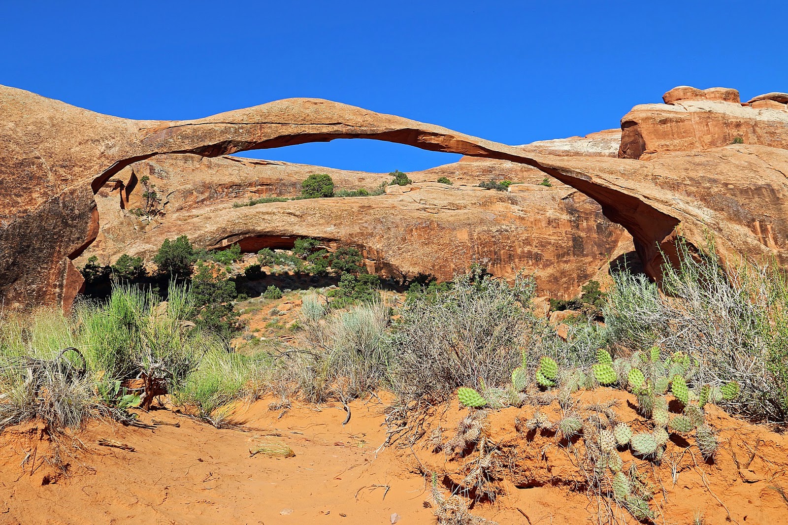 landscape arch in arches national park landscape arch in arches national park