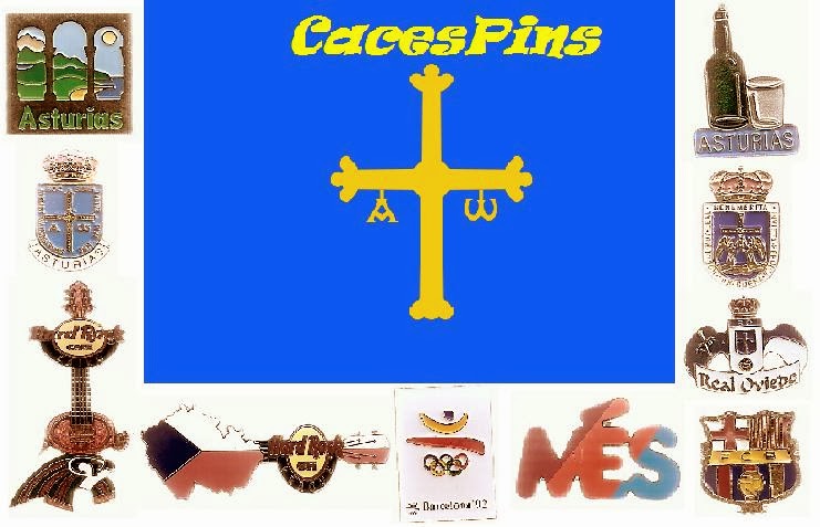 CACES PINS