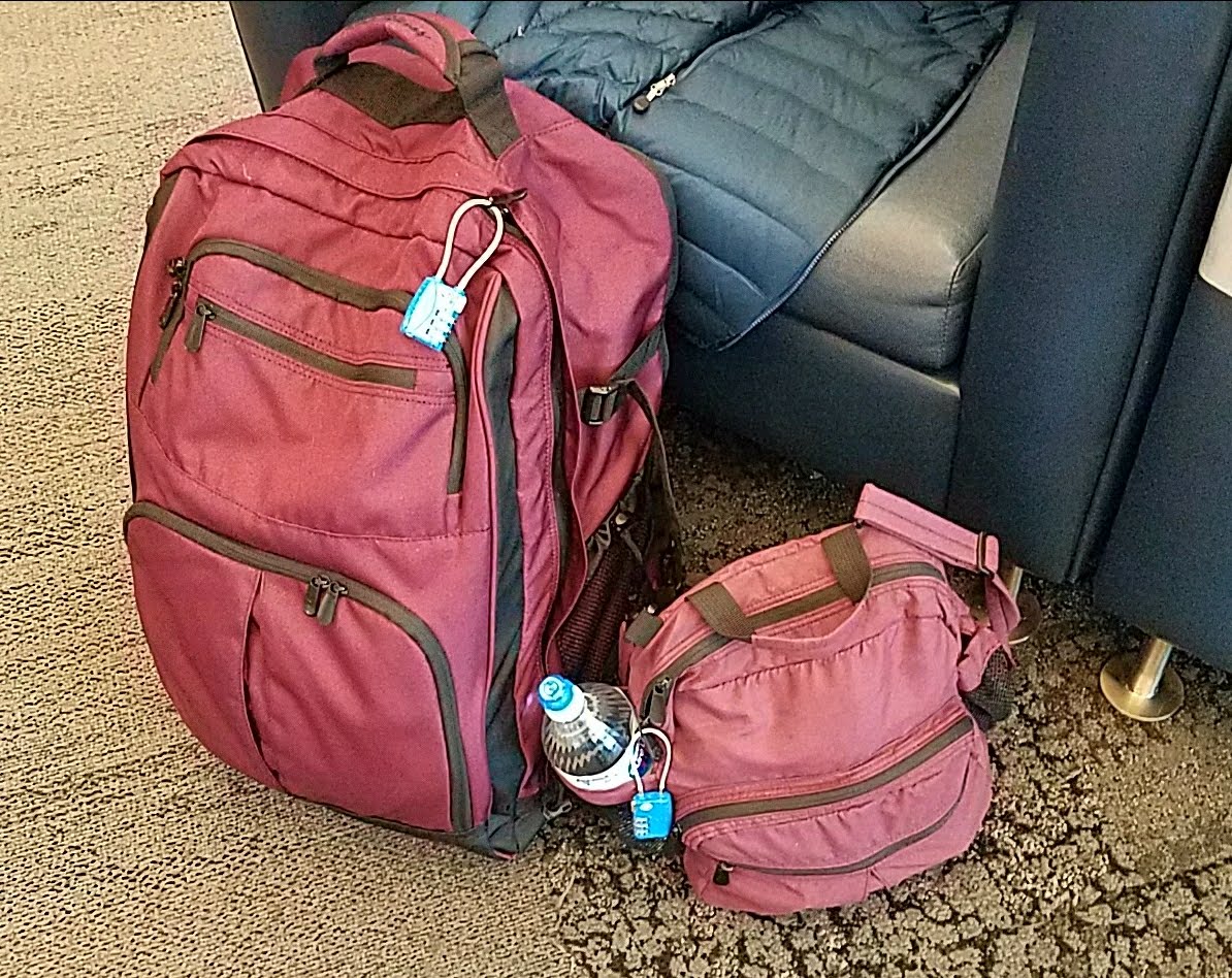 rick steves travel bags