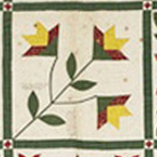 Cloud of Quilt Patterns Oldest Carolina/Cleveland Lily Quilts