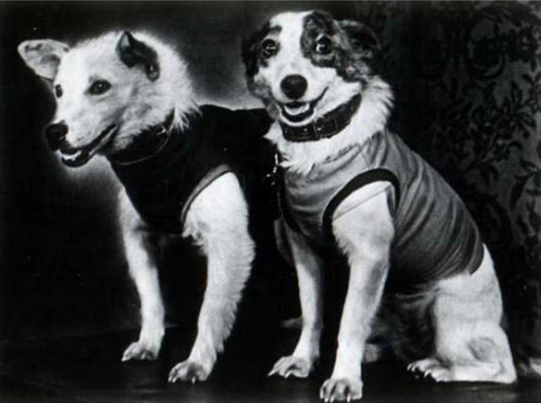 Book Junkie Sputnik 5 (KorablSputnik 2) launched 1960