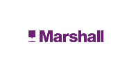 Marshall Aerospace and Defence Group enters into multi million dollar life of programme contract with Maini Precision Products ltd