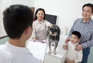 Questions Everyone Should Ask Their Veterinarian