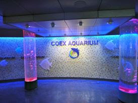 Coex Aquarium, Seoul