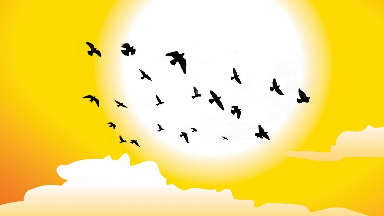 Missing Beats of Life: December 2013